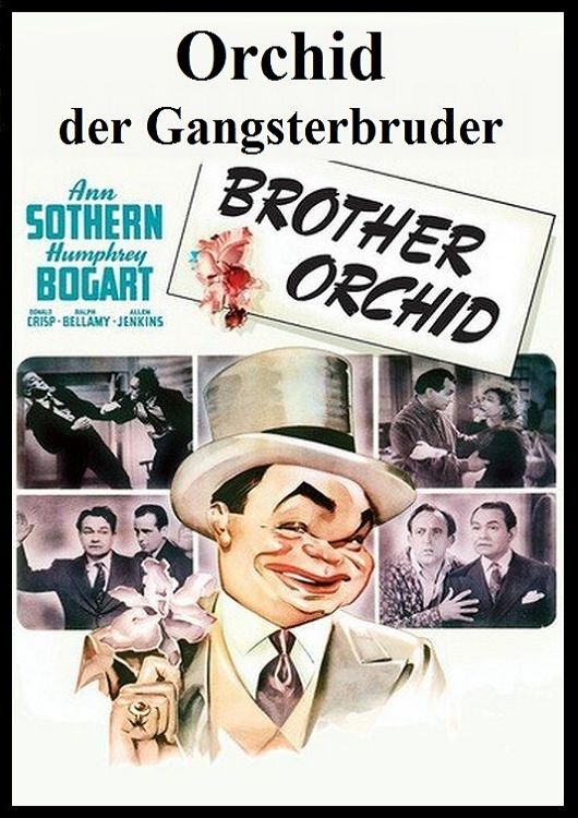 Orchid, der Gangsterbruder - 1940 (DVD+R uncut) (Bild für) Orchid, der Gangsterbruder - 1940 (DVD+R uncut)